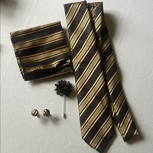 Luxury Gold and Black Striped Tie Set